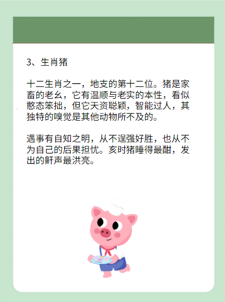 夸夸其谈背后的生肖魅力与智慧探寻