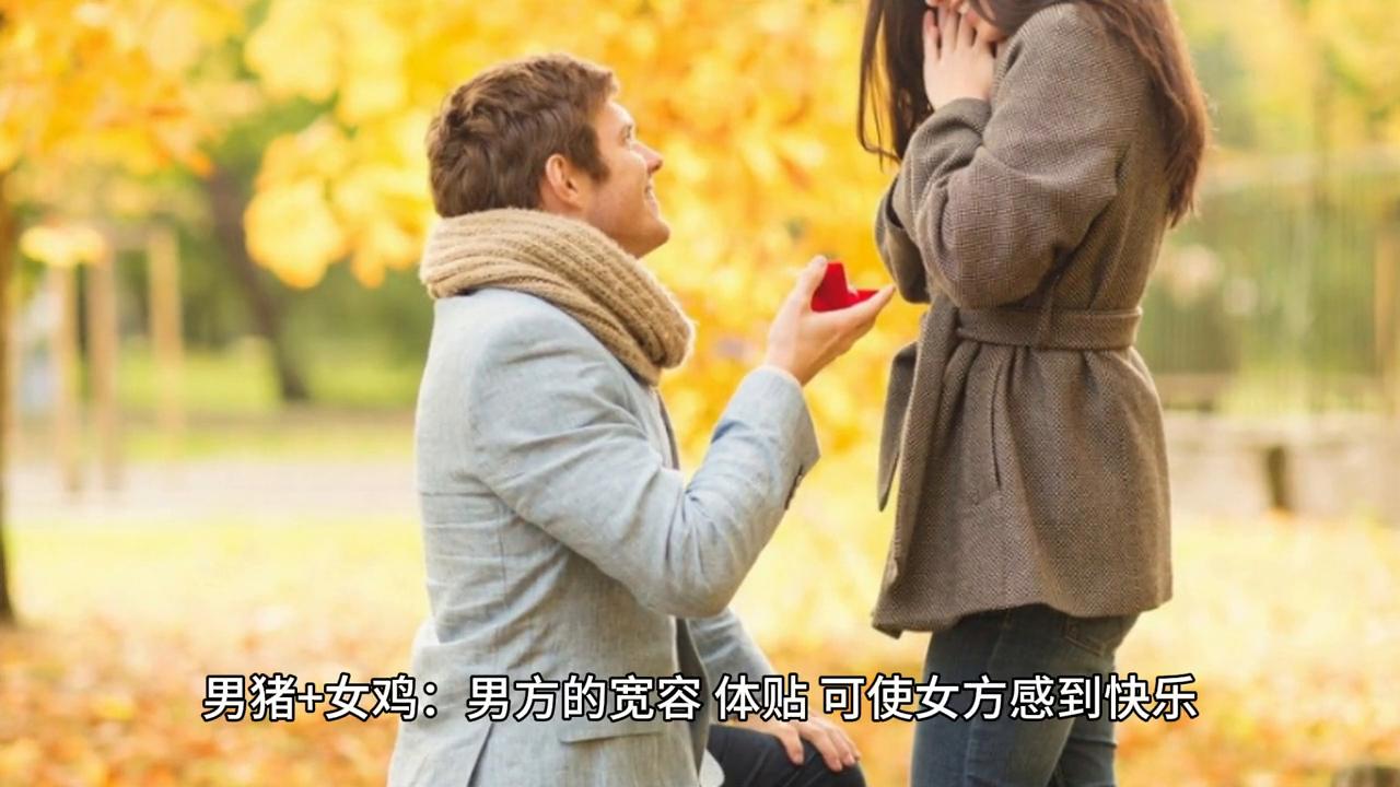生肖最佳婚姻搭配，古老传统智慧与现代婚恋观的交融