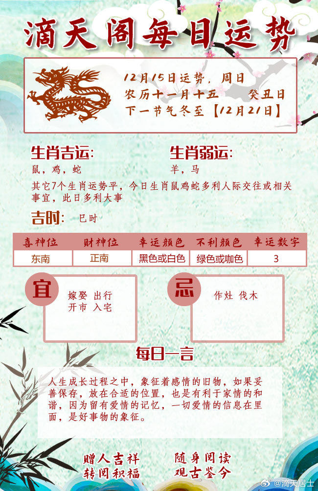 生肖运势详解，每周运势展望与每日更新指南