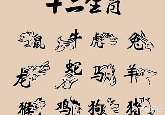 生肖传奇，神秘生肖独霸四方，风起云涌揭秘生肖霸主