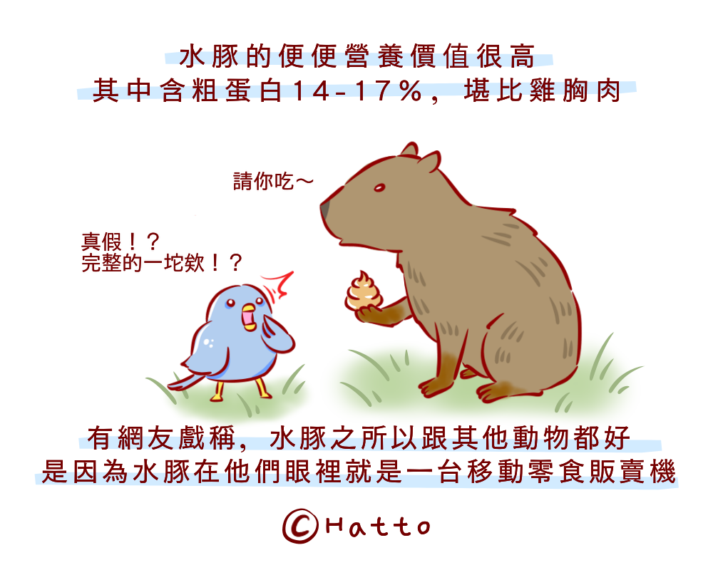 母爱与生肖的深刻联系，解读母爱重重的生肖象征意义