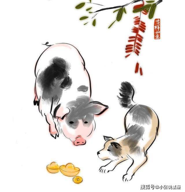 感恩节的生肖故事，感恩与生肖的交织