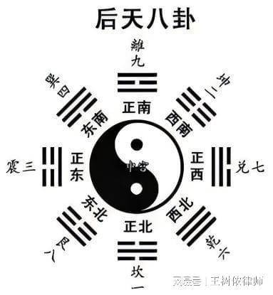 揭秘生肖阴阳属性，探寻阴阳肖奥秘，哪些生肖属于阴阳肖？