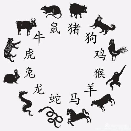 温顺动物背后的生肖奥秘，探寻生肖和谐之力