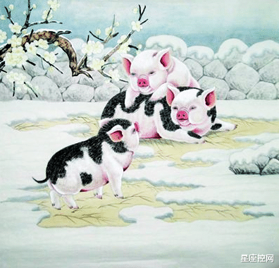 寒风刺骨的生肖，探寻十二生肖中的坚韧与毅力特质
