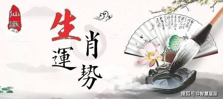 胜造九级苦重生之生肖传奇，揭秘生肖的重生之路
