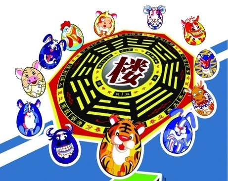 生肖奥秘揭秘，两色富足间的生肖揭晓