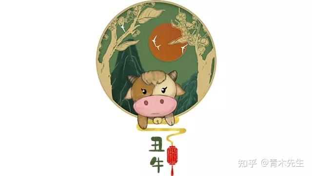 生肖午在2024年的运势展望，全面解析生肖午的运势展望与预测