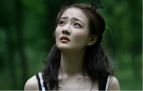 羊圈之内揭秘生肖奥秘，揭秘羊圈内的生肖秘密