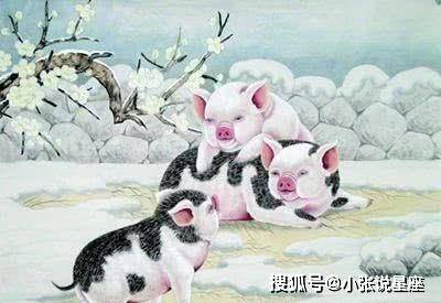 揭秘生肖劳碌背后的故事，四季劳碌生肖探秘