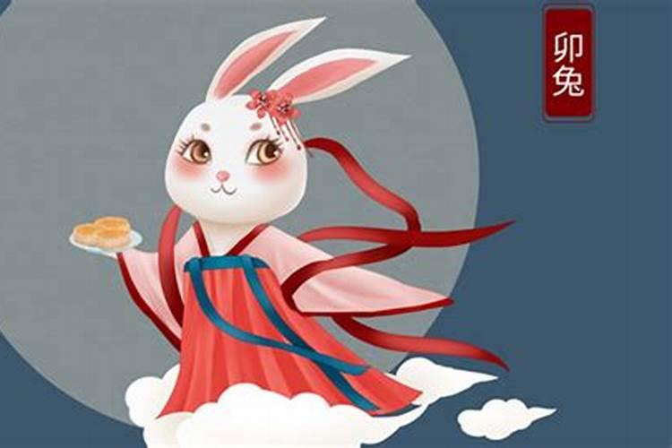 属兔生辰八字解析与命运展望，揭秘属兔人的生辰奥秘与未来走向