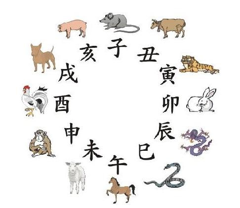无私的动物生肖揭秘，探寻生肖中的无私之美