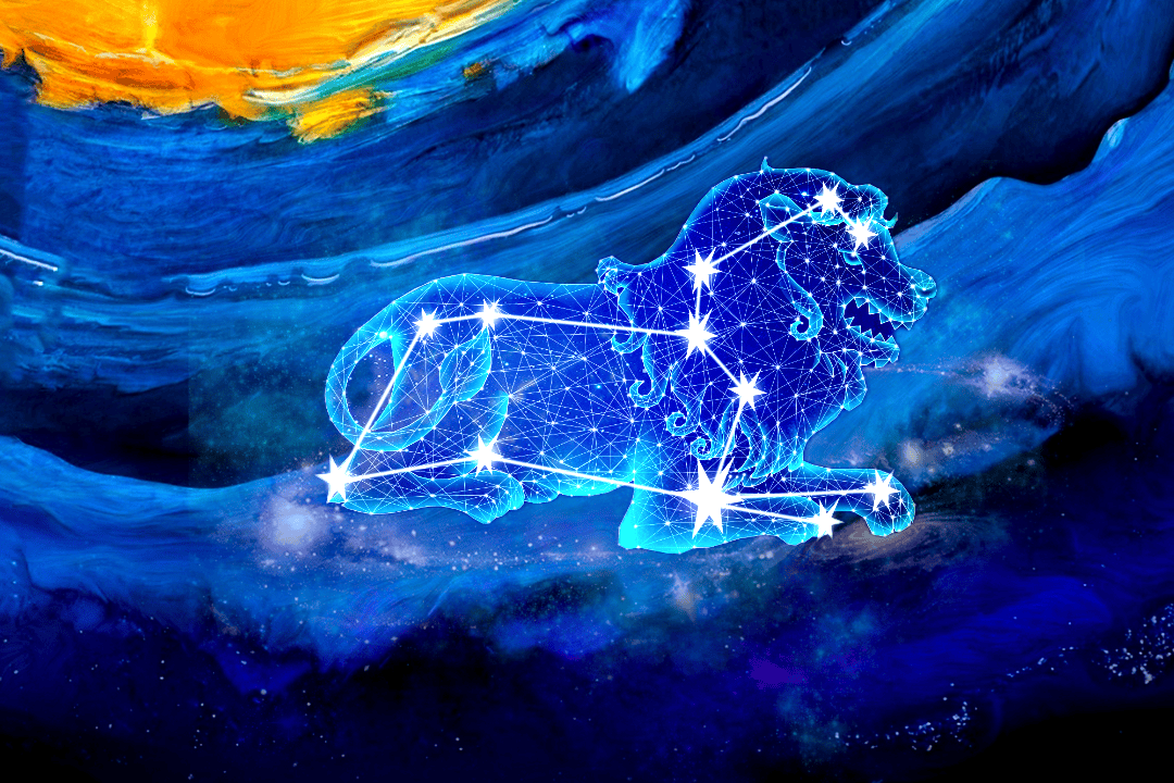 猫澈星座，神秘魅力与独特个性的完美交融