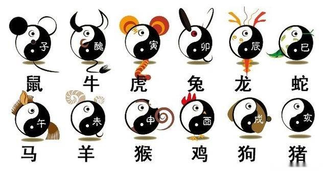 十二生肖中的禁忌，哪些生肖犯了天条？