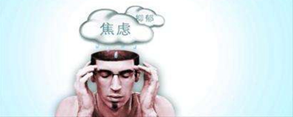 忐忑不安的生肖，深层含义与人性映射探索