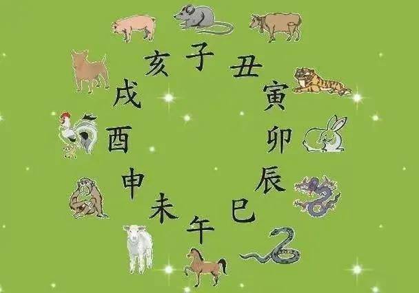 揭秘懵懵懂懂的生肖之谜，探寻背后的故事与寓意及生肖解读