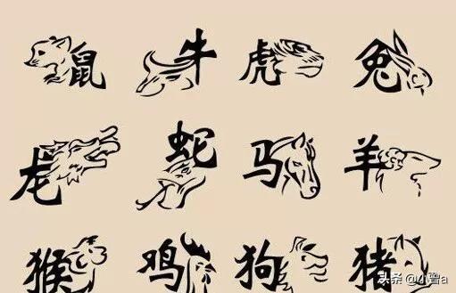 十二生肖的民间代号，历史、文化与深层含义探索