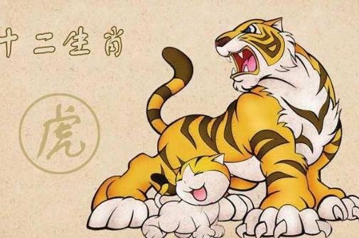 虎蛇猴生肖家庭，一家三口的独特和谐之道