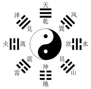 看点 第570页