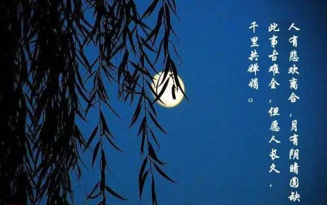 今夜月明人尽望，透过生肖解读人生哲理与人生百态