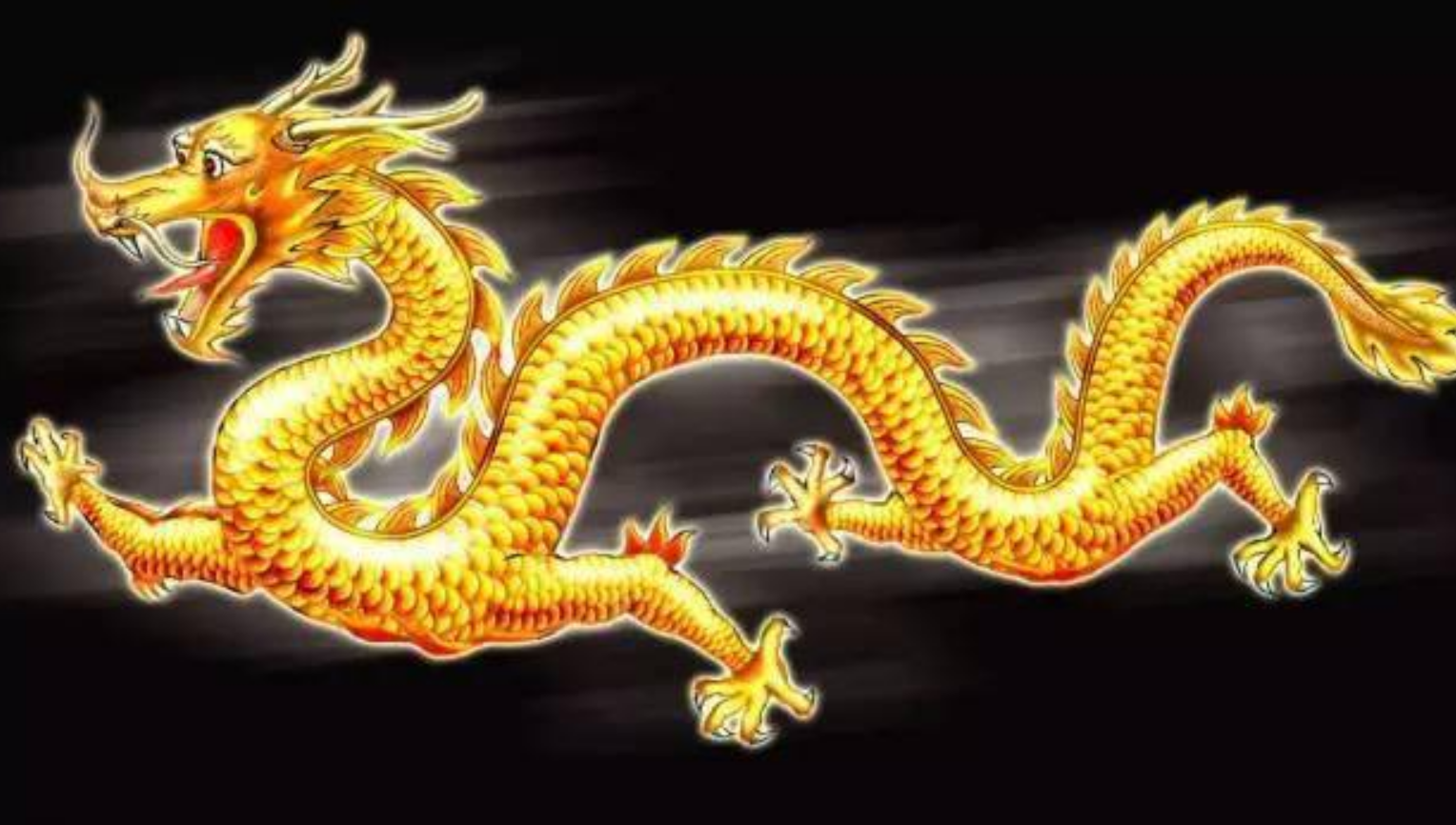 生肖小龙乘风破浪，未来运势展望