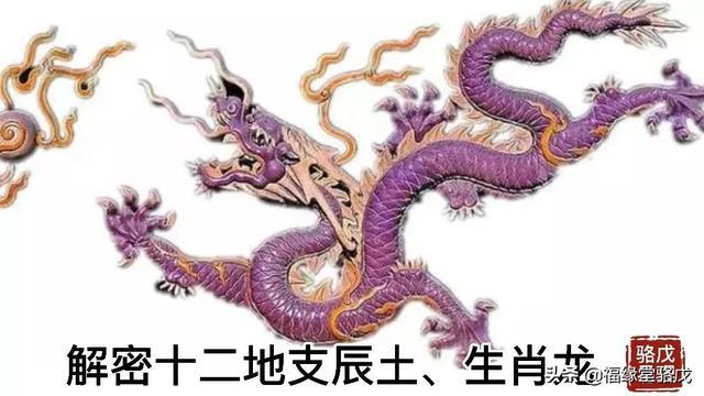 天罗地网下的生肖奥秘，揭秘天罗地网代表的生肖