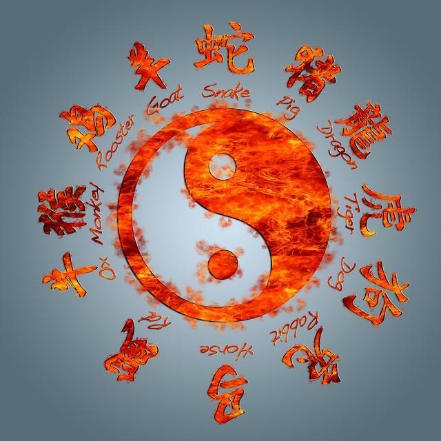 生肖明日运势揭秘，十二生肖后天的运势走向分析
