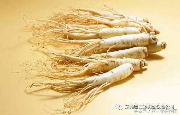 人参，神奇功效与作用的深度解析
