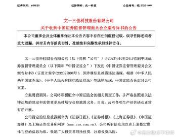 文一科技行政处罚事件揭秘，会计差错及索赔条件详解