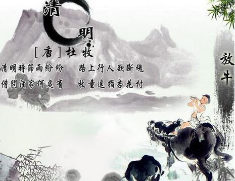 看点 第562页