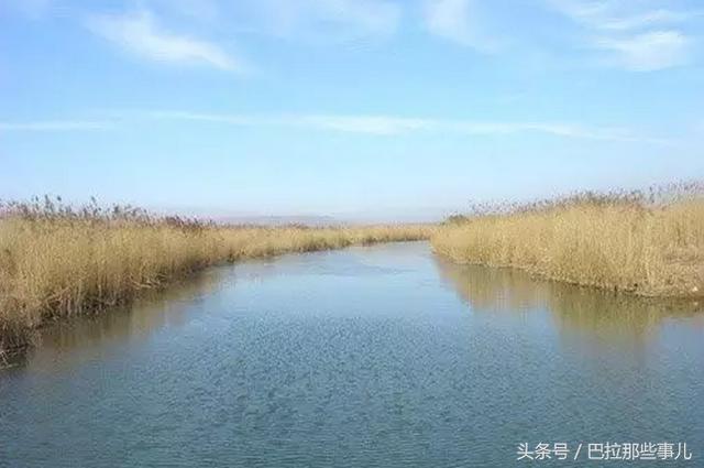 家乡的河流，生命的源泉与记忆的流淌之道