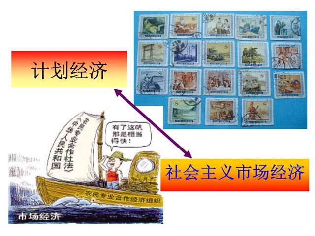 看点 第561页