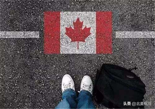 有了LMIA工作签证是否还会被拒？——深度解析LMIA签证申请风险