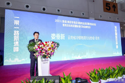 探索低成本跨国物流的秘密，最便宜的国际运输方式概览