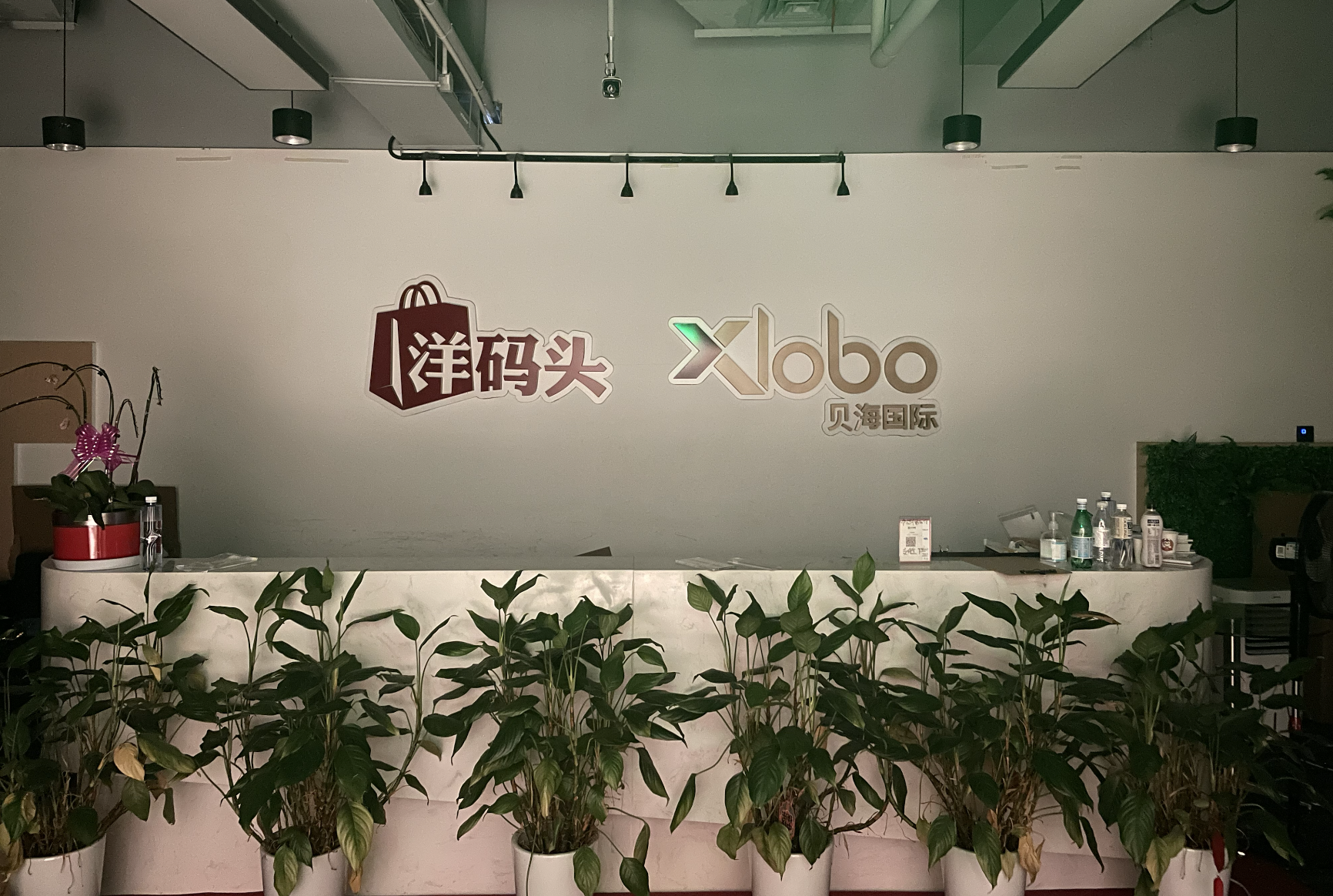 洋码头危机，拖欠货款挑战与直播业务重生之路