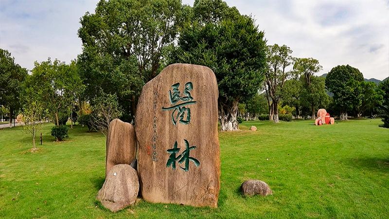 第五届世界顶尖科学家论坛盛大开幕，科学向新，携手共创未来！