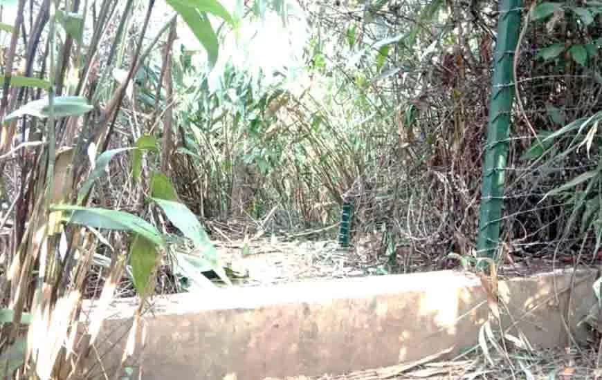 缅甸强震造成重大伤亡，揭秘损失惨重背后的原因，已致 1700 人死亡，约 300 人失踪