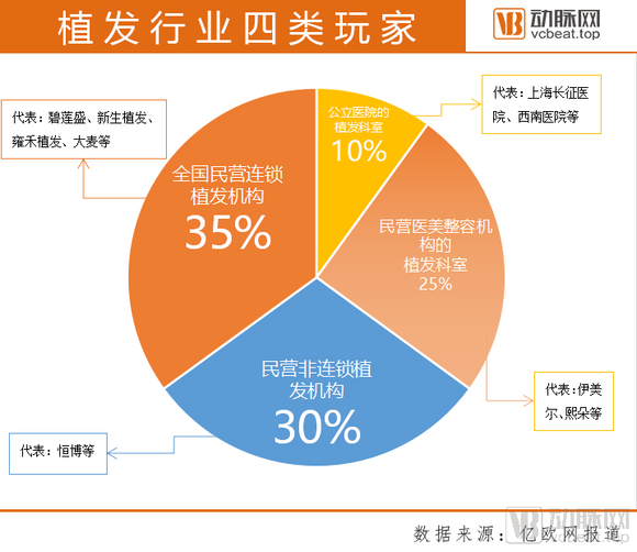 大麦植发营收利润大幅下滑背后的原因与管理漏洞探究，毛利率暴跌及违规处罚分析