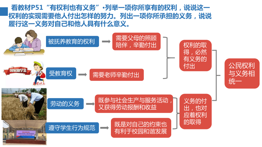 法国共同财产制下的权利义务深度解析