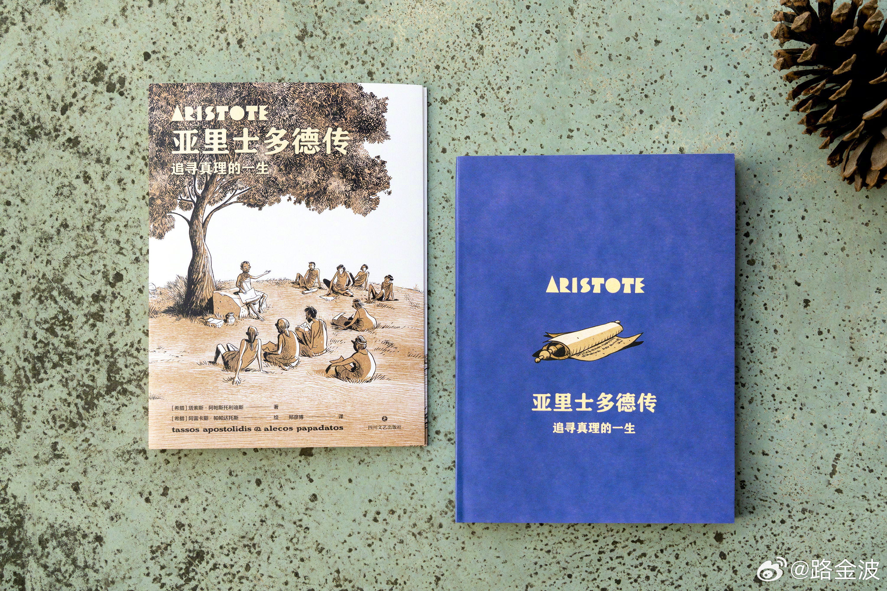 时代变迁中孩子如何理解人类智慧的不可替代性，智慧不可替代的原因解析。