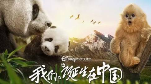 看点 第534页