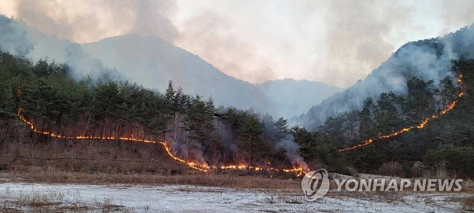 韩国大规模山火肆虐，28人死亡，创历史最高山林受灾记录，当地灾情严峻
