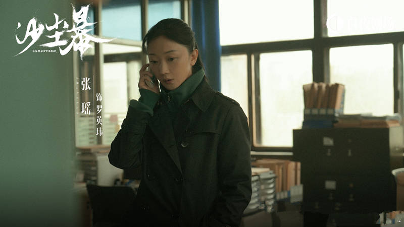 段奕宏与王锵主演悬疑剧沙尘暴深度解析与多维评价，剧情、演技、制作全方位探讨！