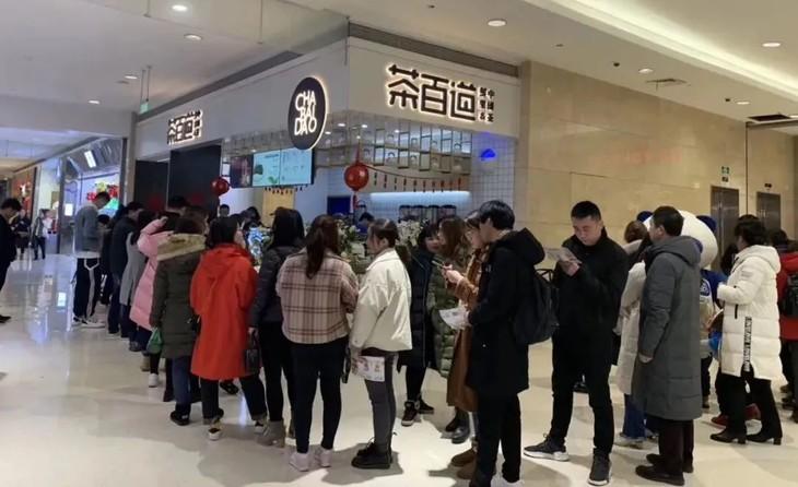 茶百道经营困境深度解析，单日暴跌超23%，营收净利双降，未来发展策略探讨及临时撤销现金派息影响分析