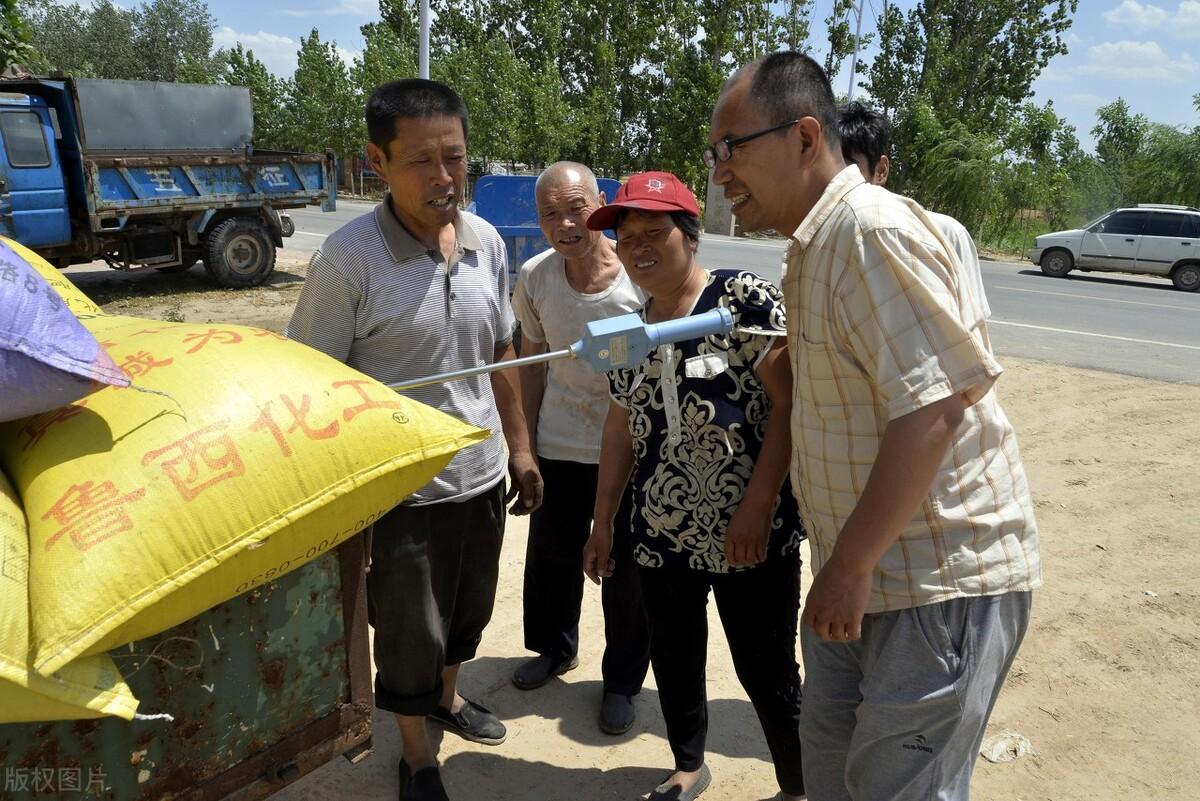国家粮食和物资储备局严打坑农害农行为，压级压价与打白条等行为的整治行动启动
