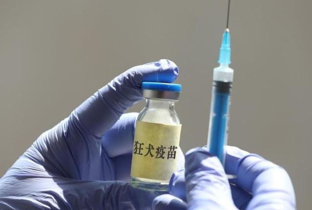 女子去世三年仍显疫苗接种记录，官方回应揭秘真相
