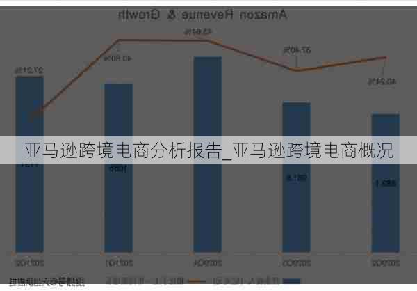 隆德跨境电商亚马逊运营深度解析，运营状况与前景展望