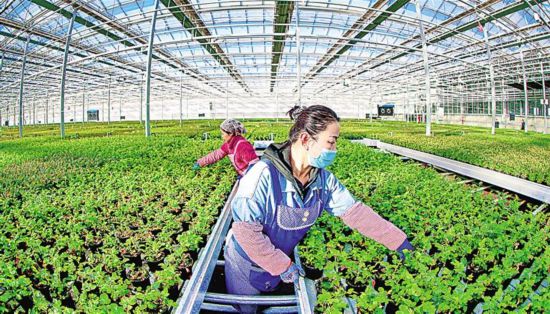 勇路鲜花盛放，城市新生机绽放美好寓意