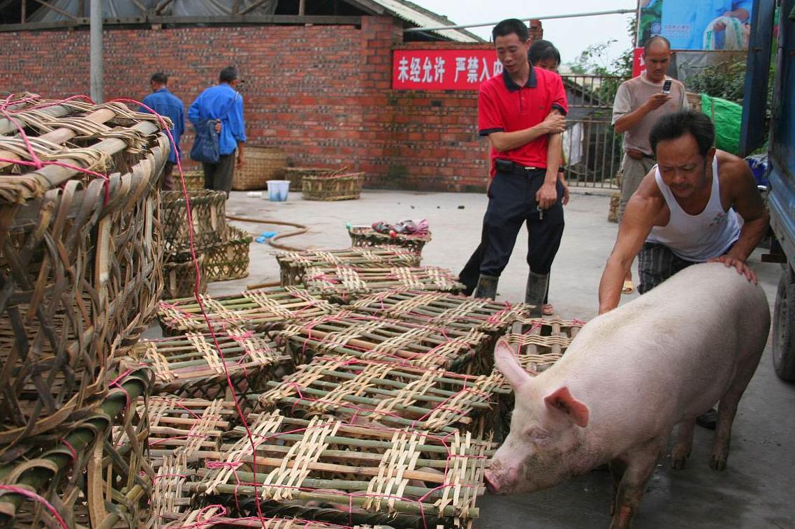 国际粮价上涨对中国的影响分析，对国内影响不容忽视