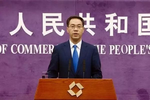 商务部公布，中国对外非金融类直接投资前七个月达4242.8亿元——分析与展望
